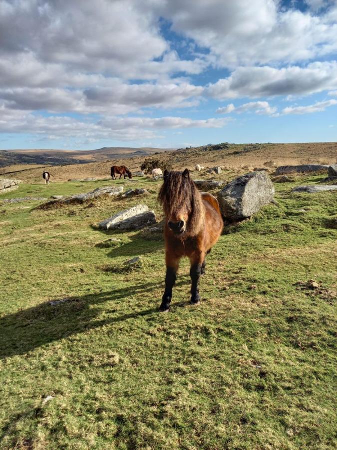 Dartmoor Inn Princetown Eksteriør bilde